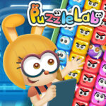 Laborator de puzzle