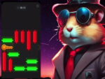 Chei de puzzle cu hamster