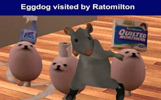 Eggdog vizitat de Ratomilton
